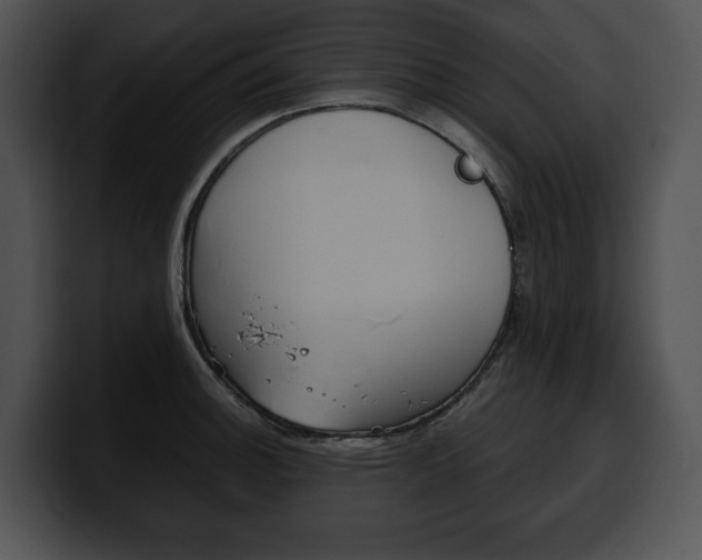 X0000100501140200806130724
