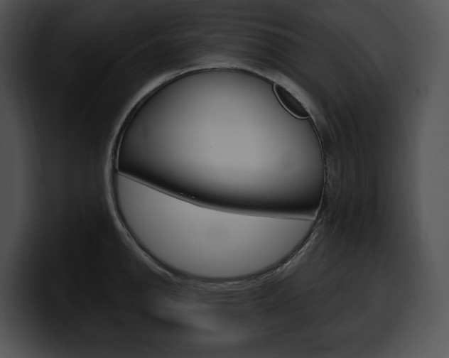 X0000100501142200806130724
