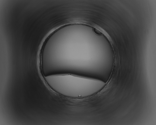 X0000100501144200806130724