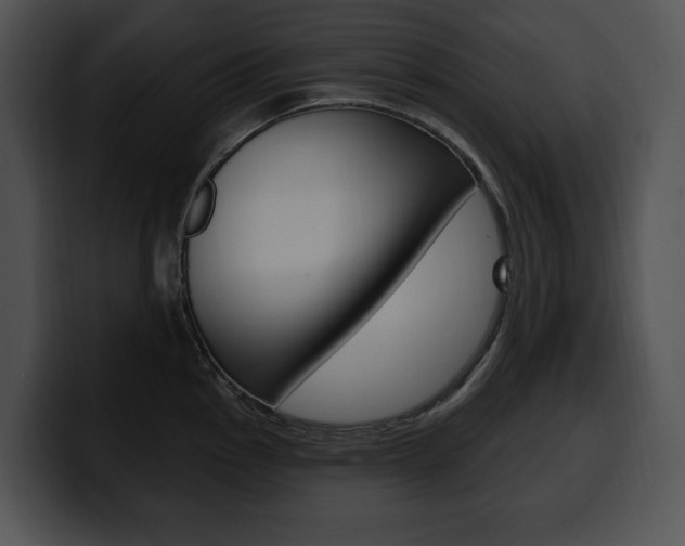 X0000100501145200806130724