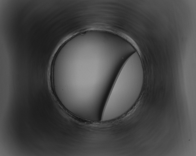 X0000100501146200806130724