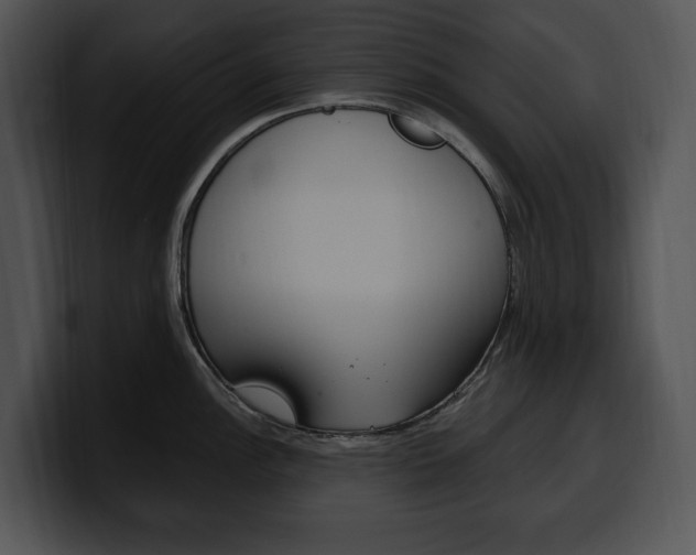 X0000100501148200806130724