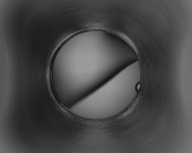 X0000100501149200806130724