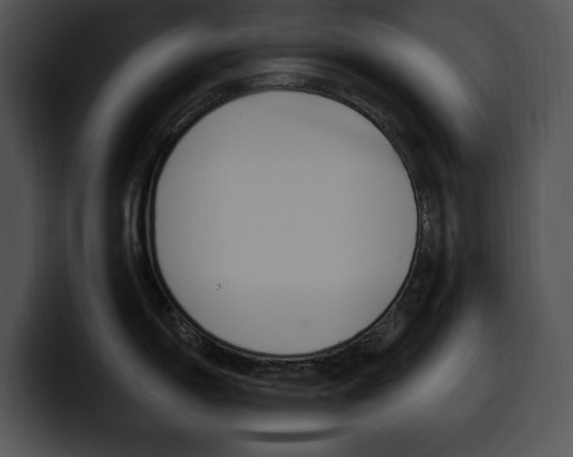 X0000100501150200806130724