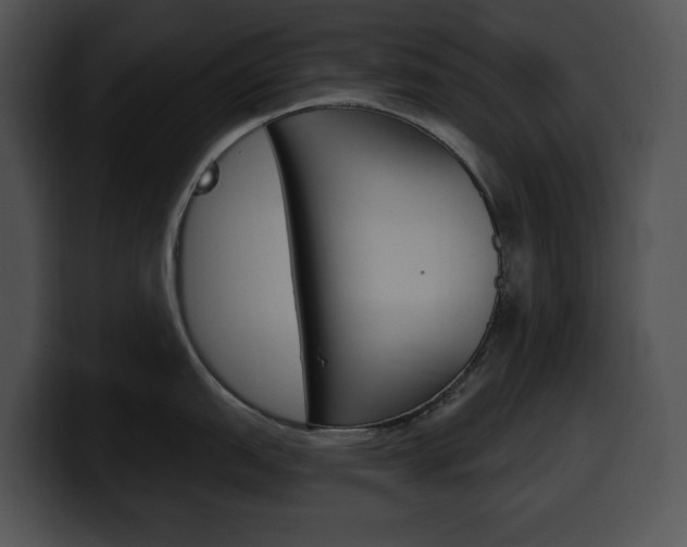 X0000100501151200806130724