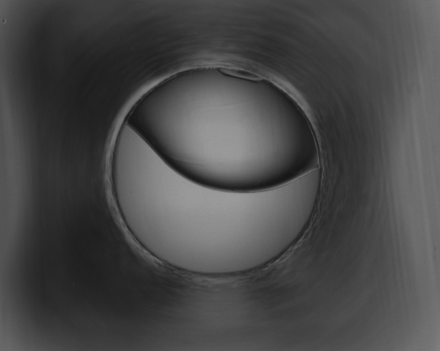 X0000100501152200806130724