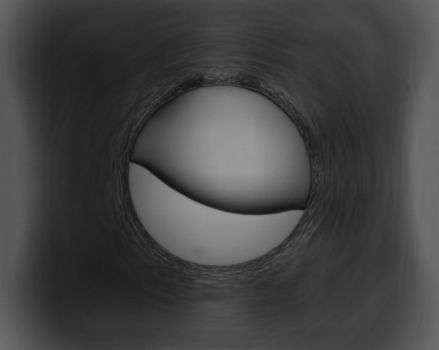 X0000100501153200806130724