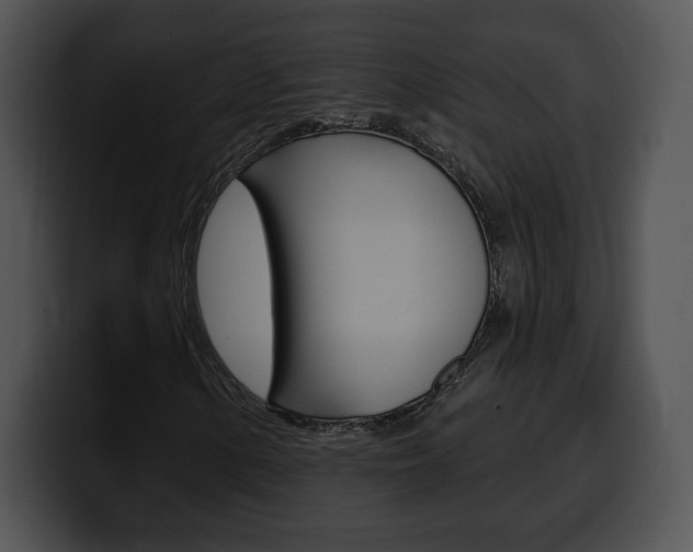 X0000100501154200806130724
