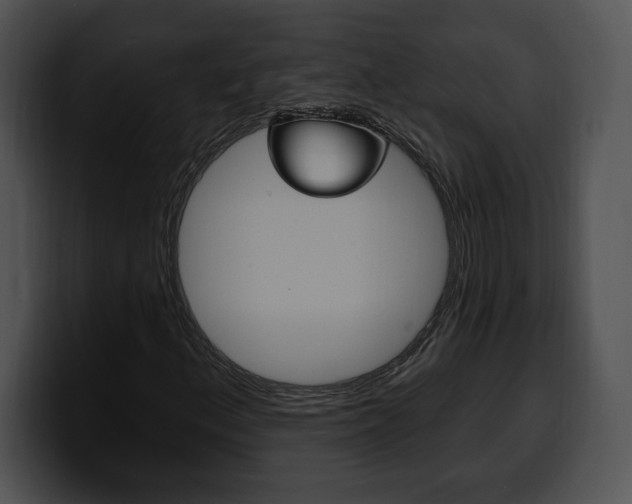 X0000100501156200806130724