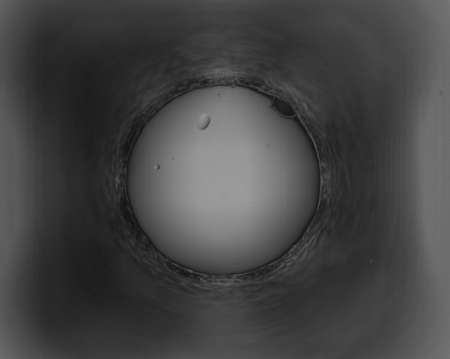 X0000100501157200806130724