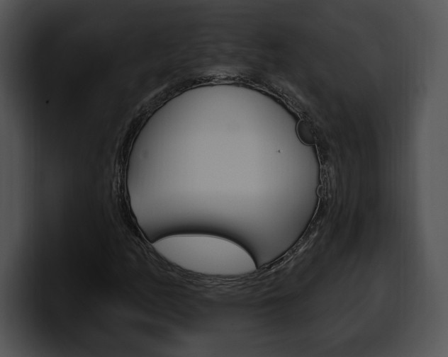 X0000100501158200806130724