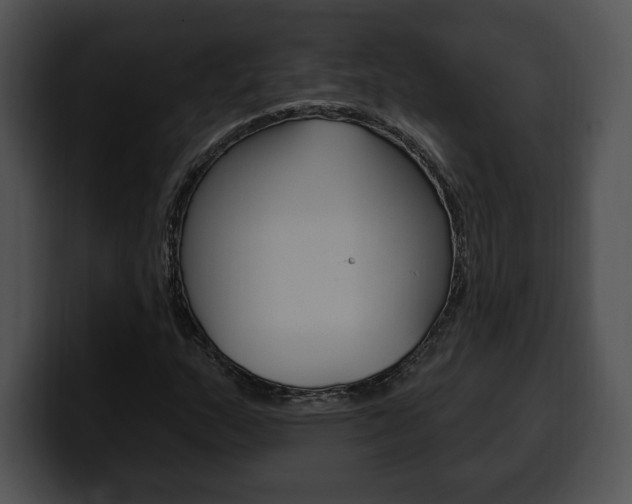 X0000100501159200806130724