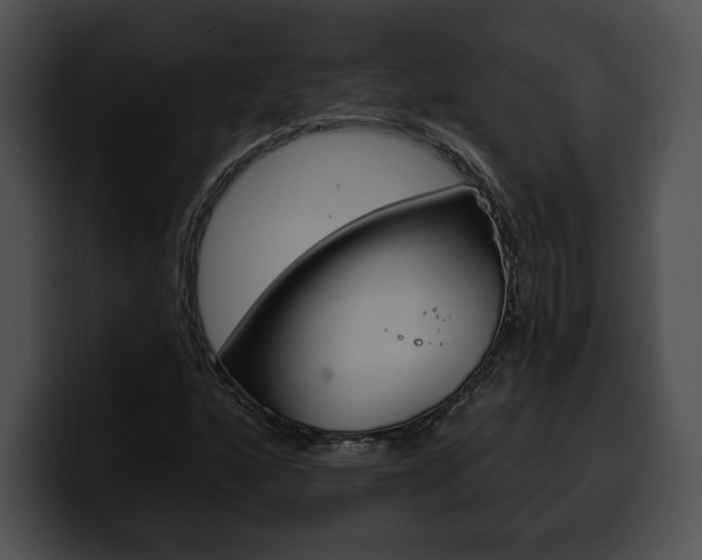 X0000100501160200806130724