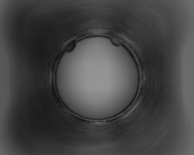 X0000100501161200806130724