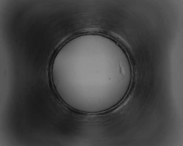 X0000100501162200806130724