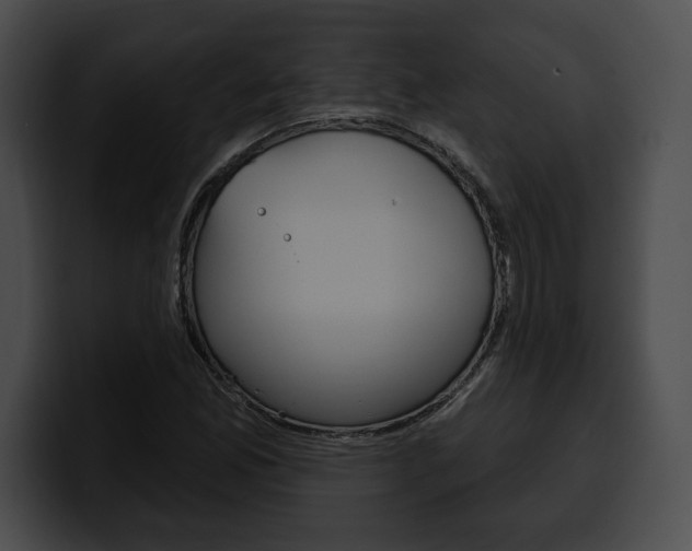 X0000100501165200806130724