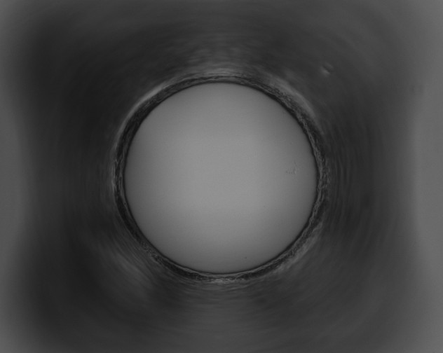 X0000100501166200806130724