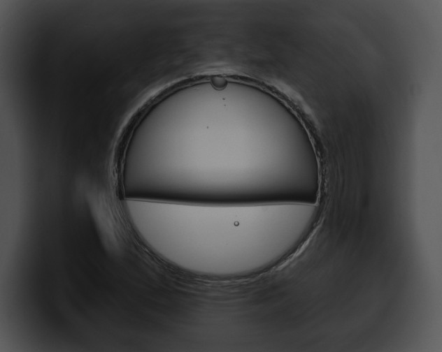 X0000100501167200806130724