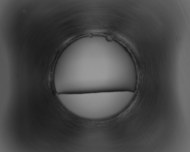 X0000100501169200806130724