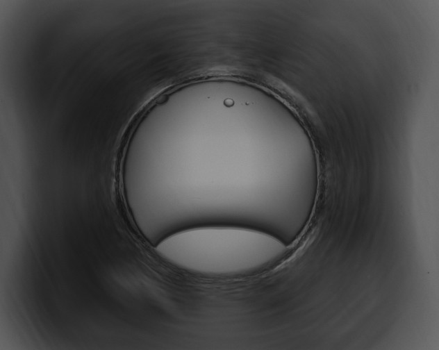 X0000100501170200806130724