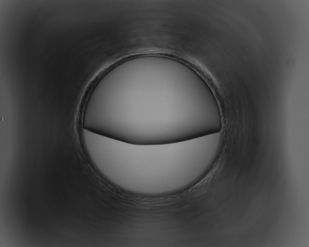 X0000100501173200806130724