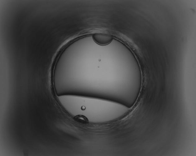 X0000100501174200806130724