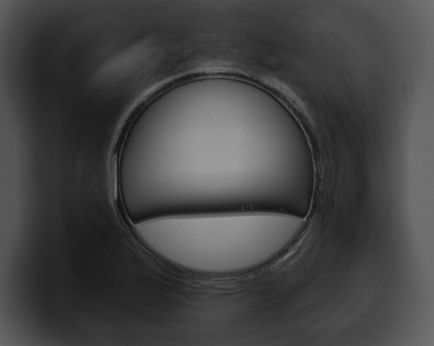 X0000100501175200806130724