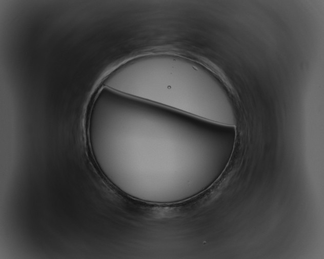 X0000100501176200806130723
