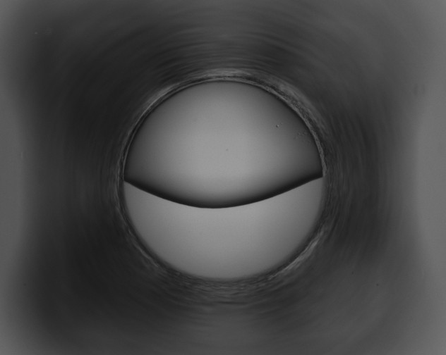 X0000100501177200806130723