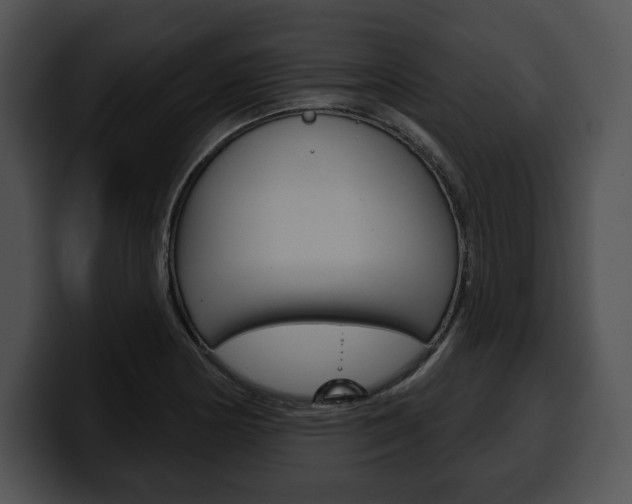 X0000100501178200806130723