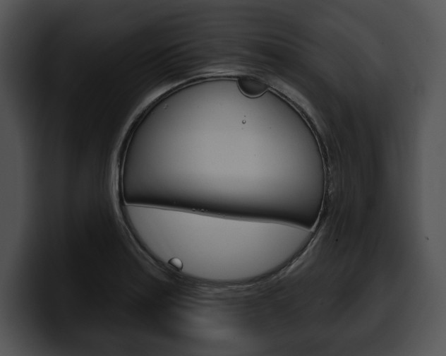 X0000100501179200806130723
