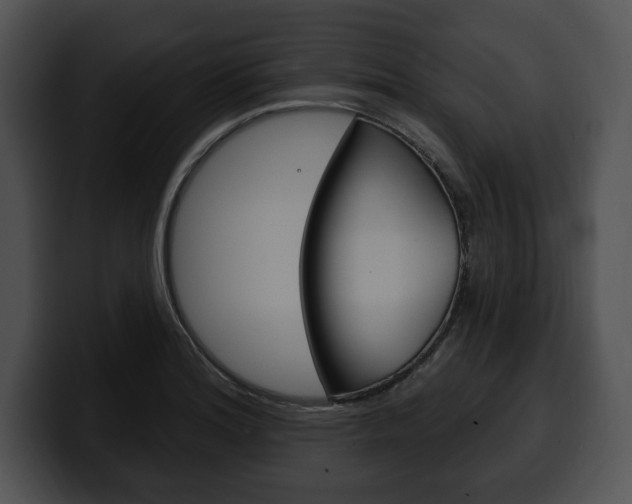 X0000100501180200806130723