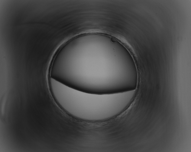 X0000100501181200806130723