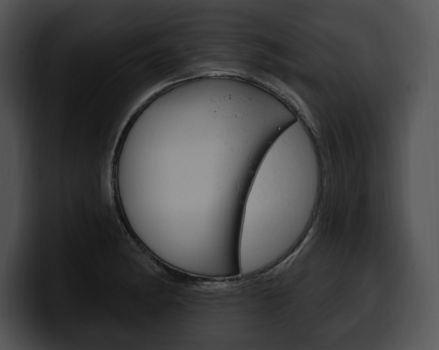 X0000100501182200806130723