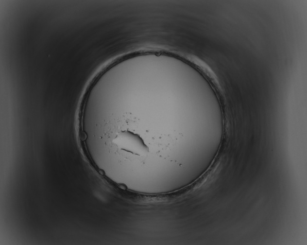 X0000100501183200806130723