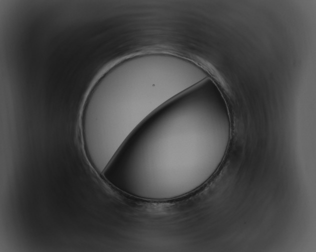 X0000100501184200806130723