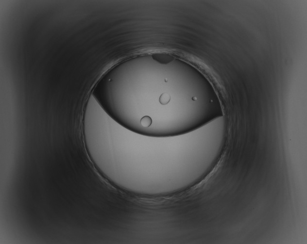X0000100501185200806130723