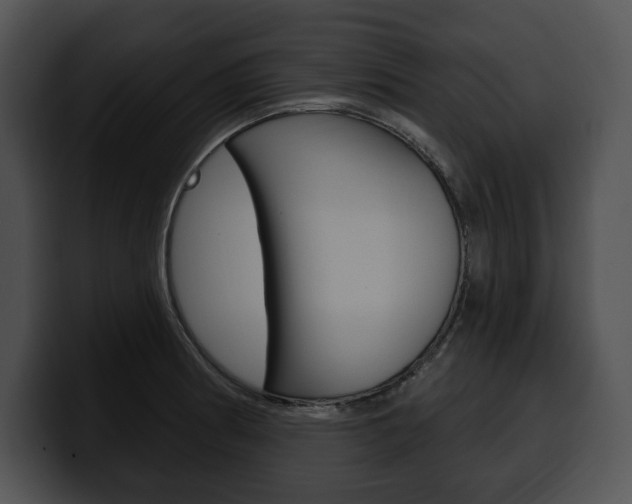 X0000100501186200806130723
