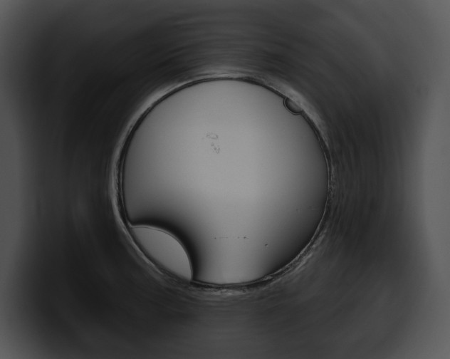 X0000100501187200806130723
