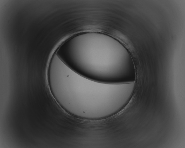 X0000100501188200806130723