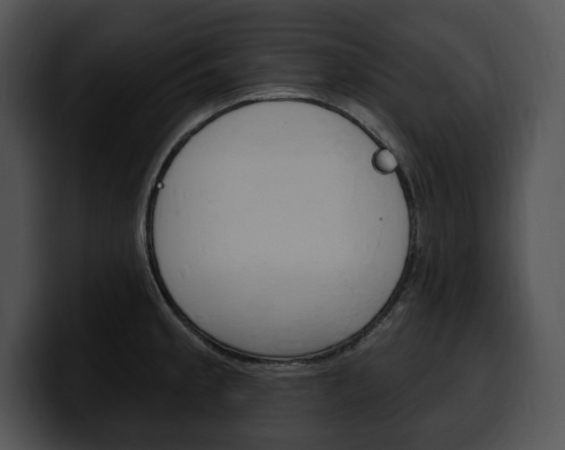 X0000100501189200806130723