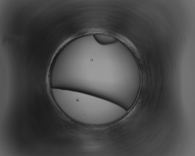 X0000100501190200806130723