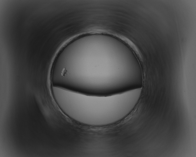 X0000100501191200806130723