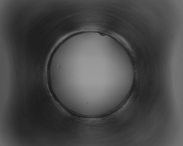 X0000100501192200806130723