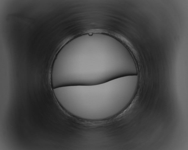 X0000100501193200806130723