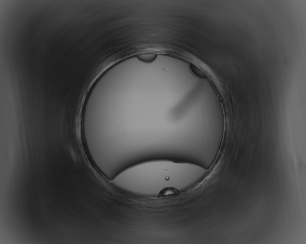 X0000100501194200806130723