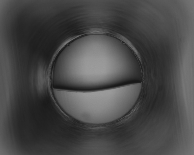 X0000100501195200806130723