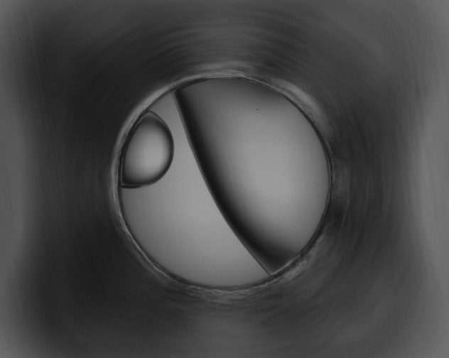 X0000100501196200806130723