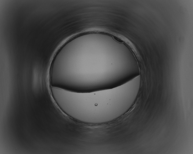 X0000100501199200806130723