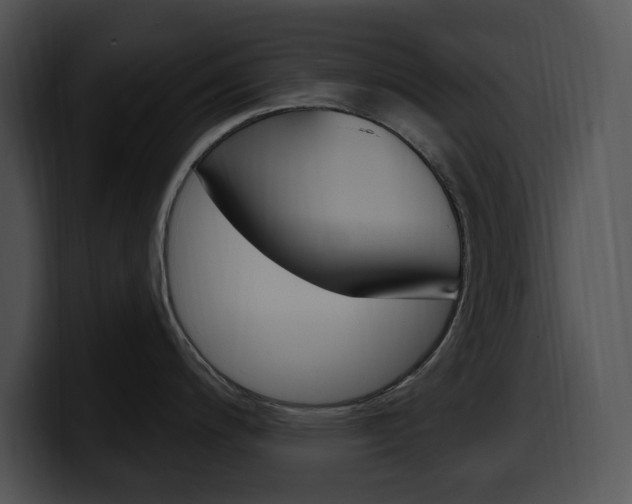 X0000100501200200806130723